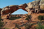 Arches National Park